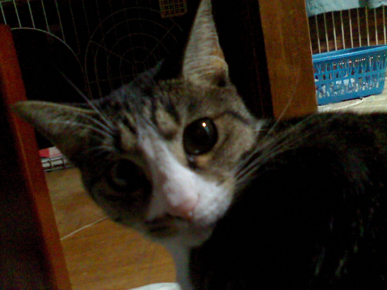 a0133999_2218354.jpg