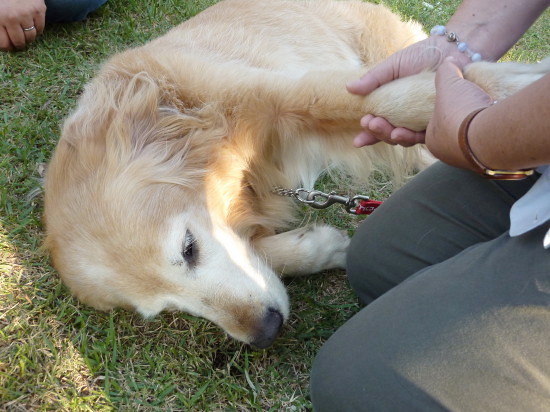 c0044199_23533849.jpg