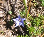 e0122199_23202669.jpg