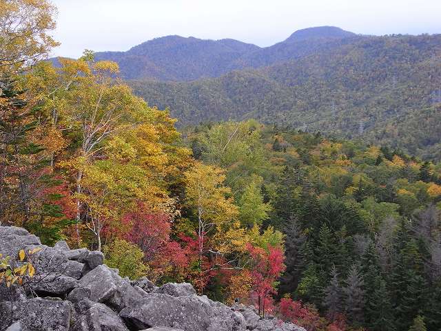 f0157901_10485586.jpg