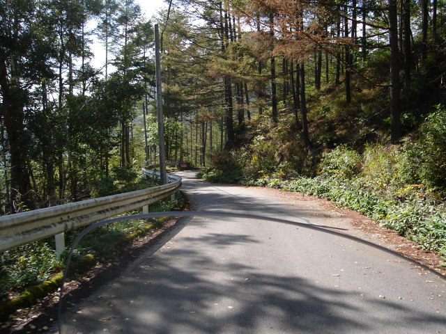 a0116205_21535234.jpg