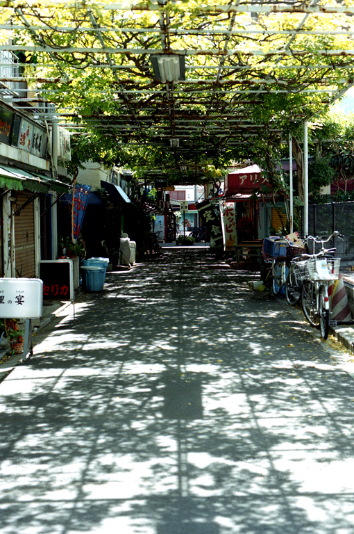 d0119505_23271611.jpg