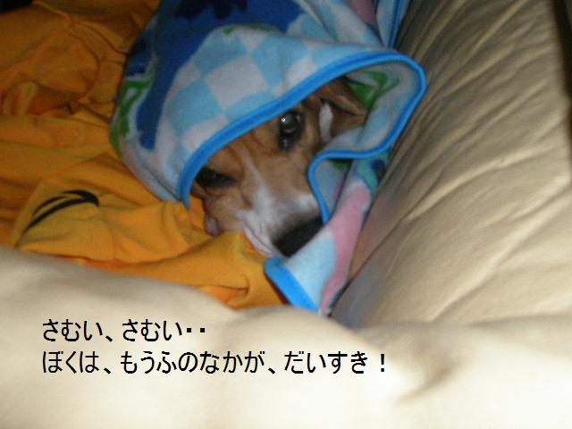 c0205806_9112455.jpg