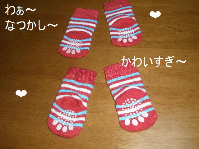 c0205806_916638.jpg
