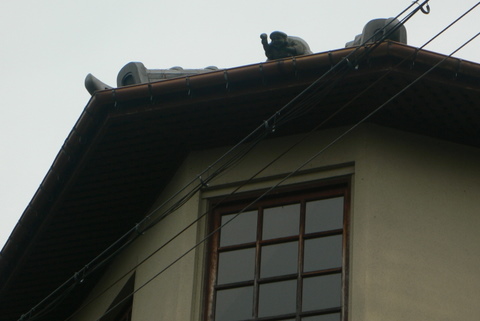 f0167007_172307.jpg