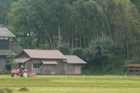 f0167007_21555662.jpg