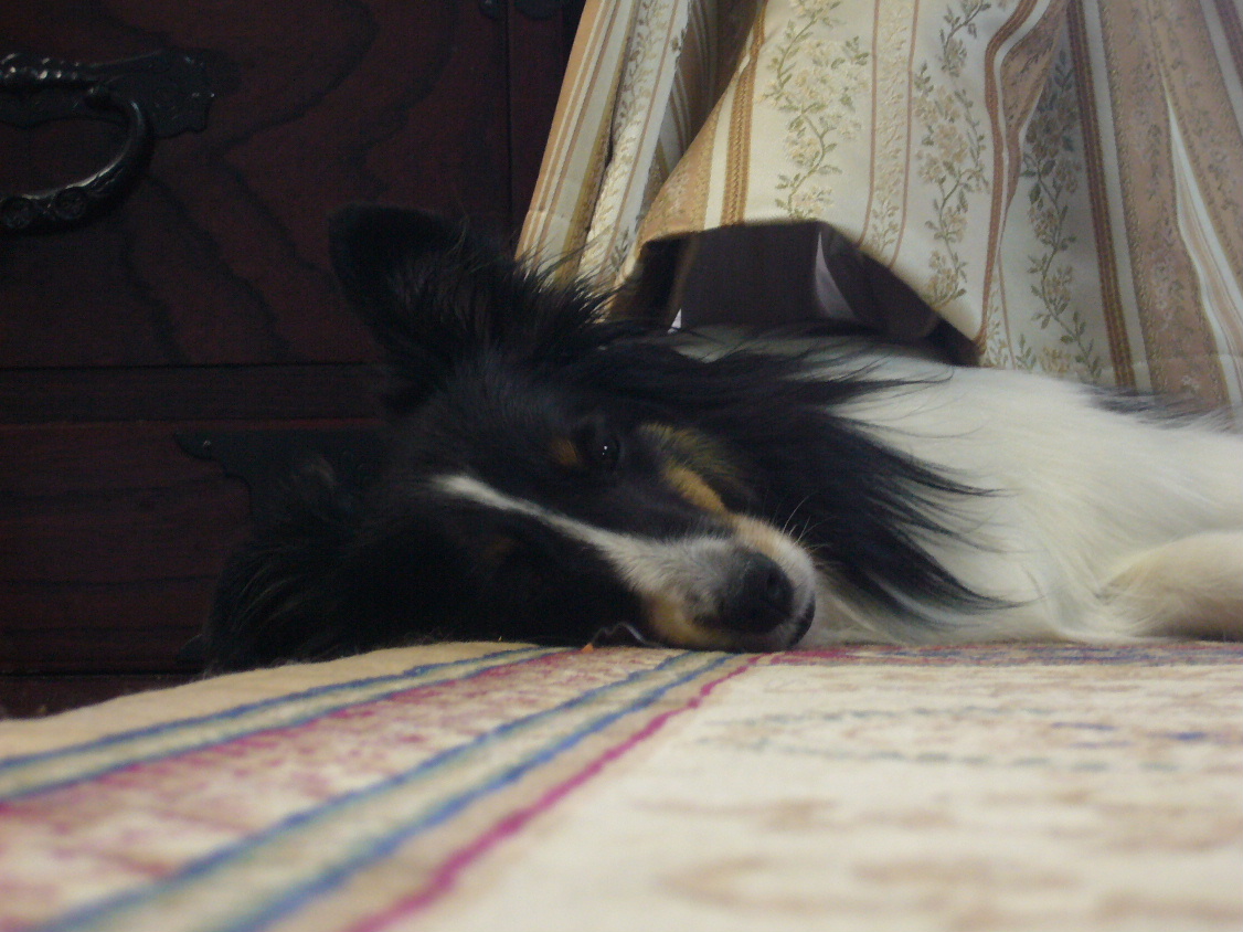 e0130008_23102047.jpg