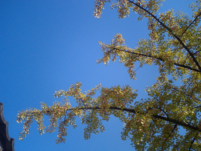 a0101715_2345129.jpg