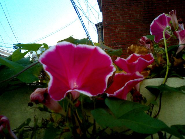 a0101715_2346395.jpg