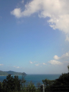 a0128916_16255613.jpg