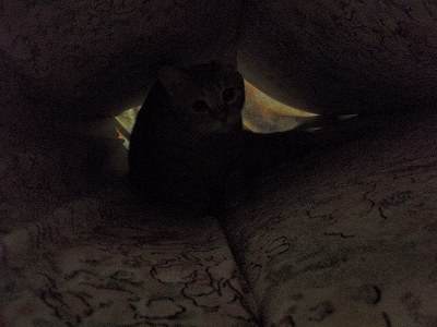 c0145016_19371794.jpg