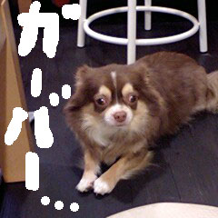 c0036617_6432986.jpg