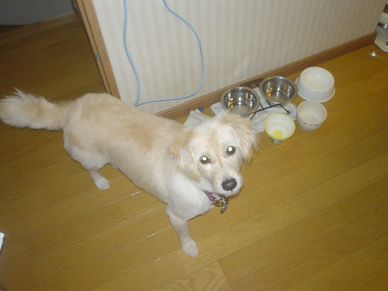 c0150520_22301151.jpg
