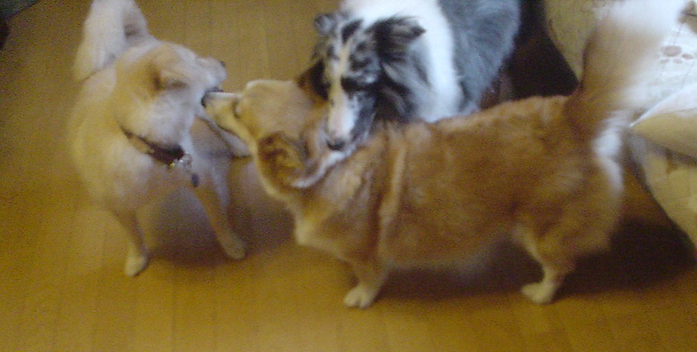 c0150520_22414166.jpg