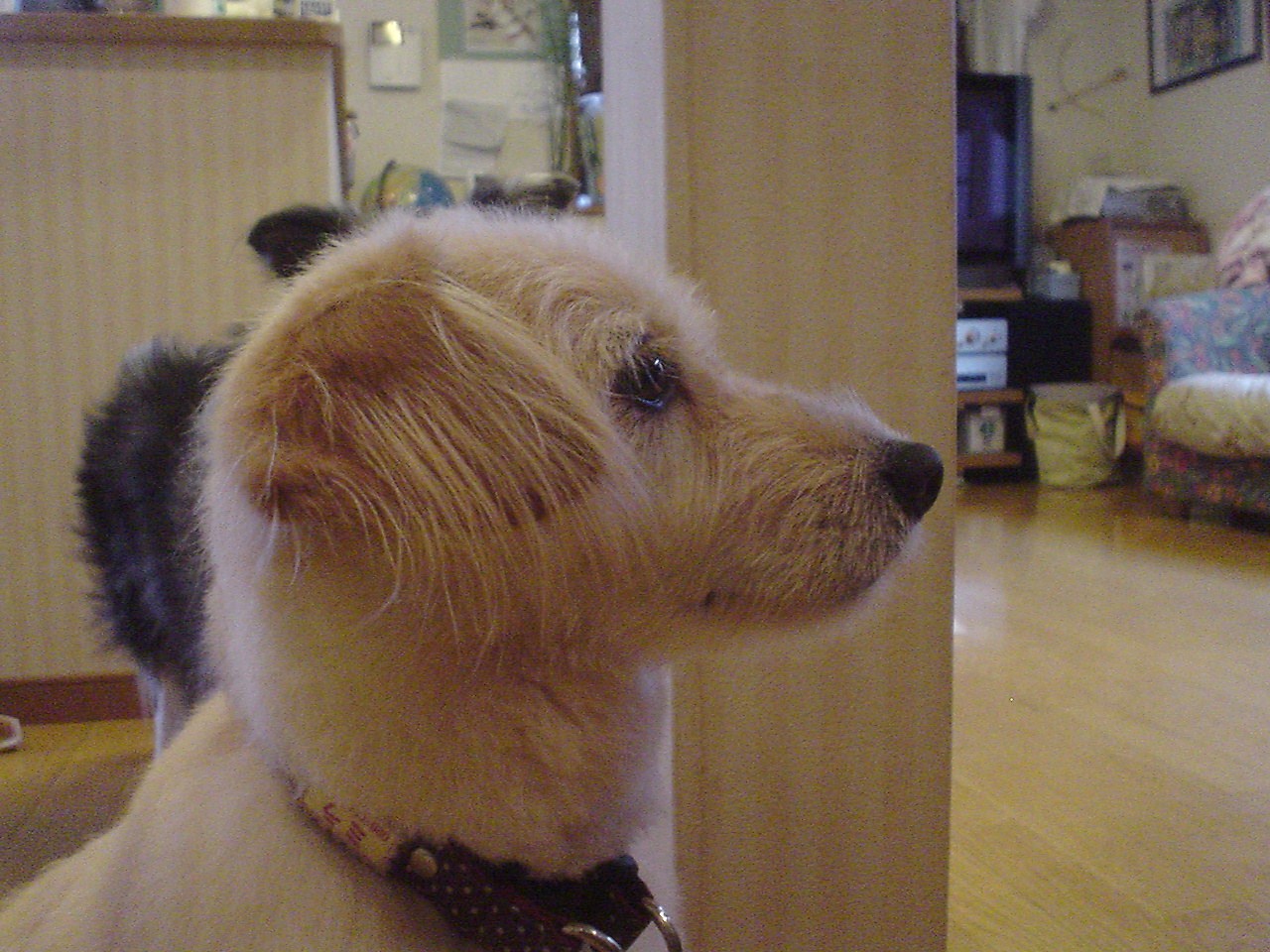 c0150520_22431020.jpg