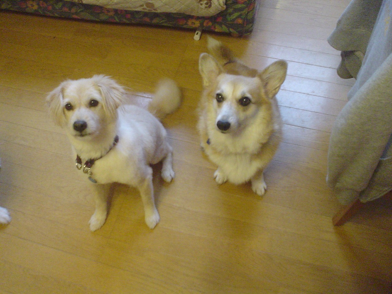 c0150520_2243299.jpg