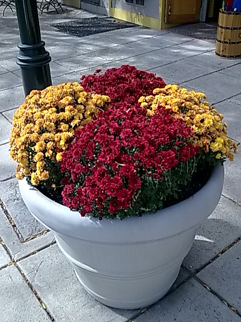 c0202520_10432913.jpg