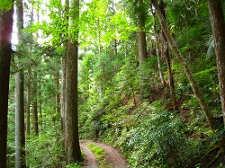 e0002820_15134596.jpg