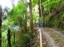 e0002820_15135849.jpg