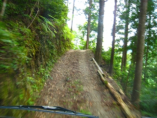 e0002820_1561346.jpg