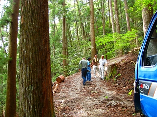 e0002820_1572391.jpg