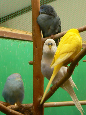 e0148120_7124390.jpg
