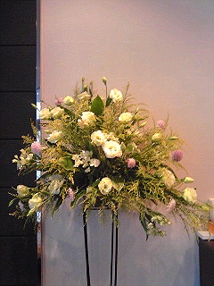 a0052621_1774659.jpg