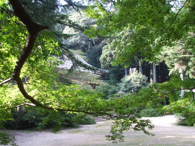 e0186121_045233.jpg