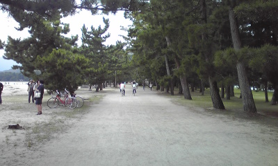 d0023622_17351364.jpg