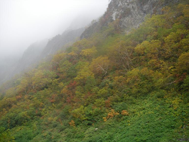 b0062024_8555858.jpg