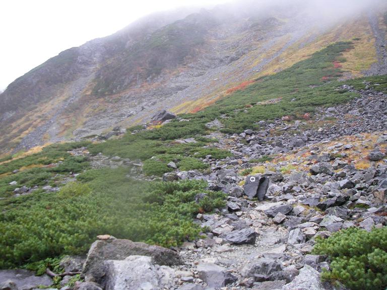 b0062024_9212430.jpg