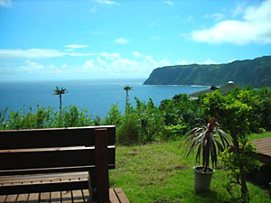 d0023725_1223315.jpg