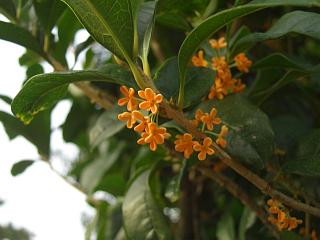 b0181027_0163556.jpg