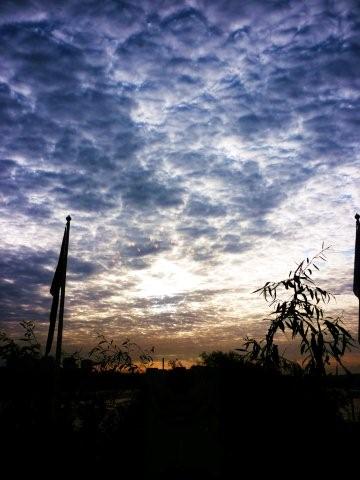 c0020127_0475237.jpg