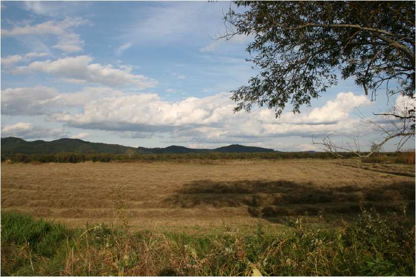 e0077528_1739157.jpg
