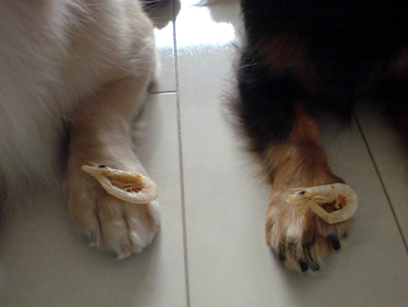 c0117831_21405091.jpg