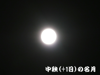 d0140133_23481110.jpg