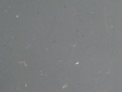 b0042334_23511444.jpg