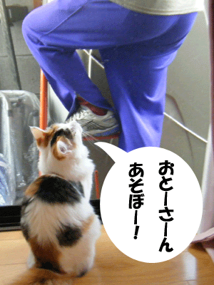 f0008935_12132772.gif