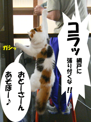 f0008935_12133664.gif