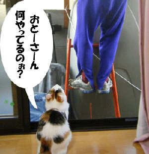 f0008935_12153788.gif