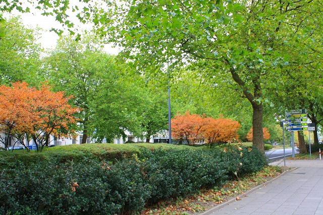 c0153740_17554737.jpg