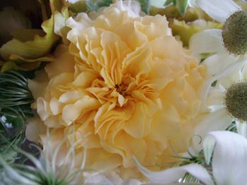 e0110940_9113100.jpg