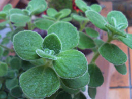 f0204440_11203961.jpg