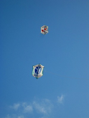 b0179047_6575711.jpg