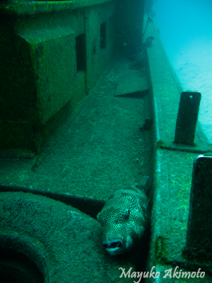 e0027447_21121350.jpg
