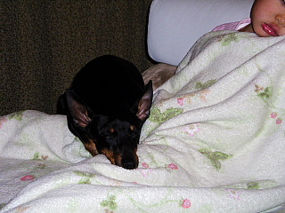 c0123149_2094624.jpg