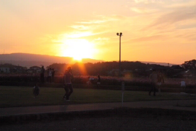 f0198253_0164411.jpg