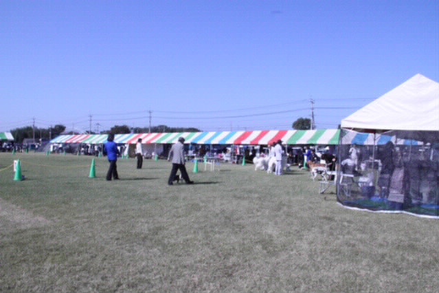 f0198253_019315.jpg