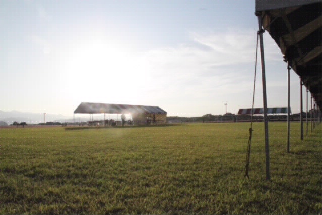 f0198253_0202437.jpg